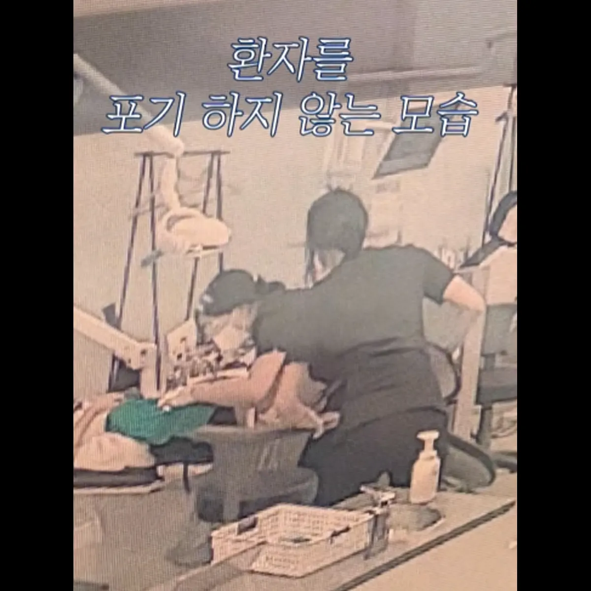main insta04 — 루센트치과의원